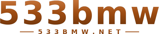 533bmw logo